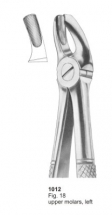  Fig. 18 upper molars, left 